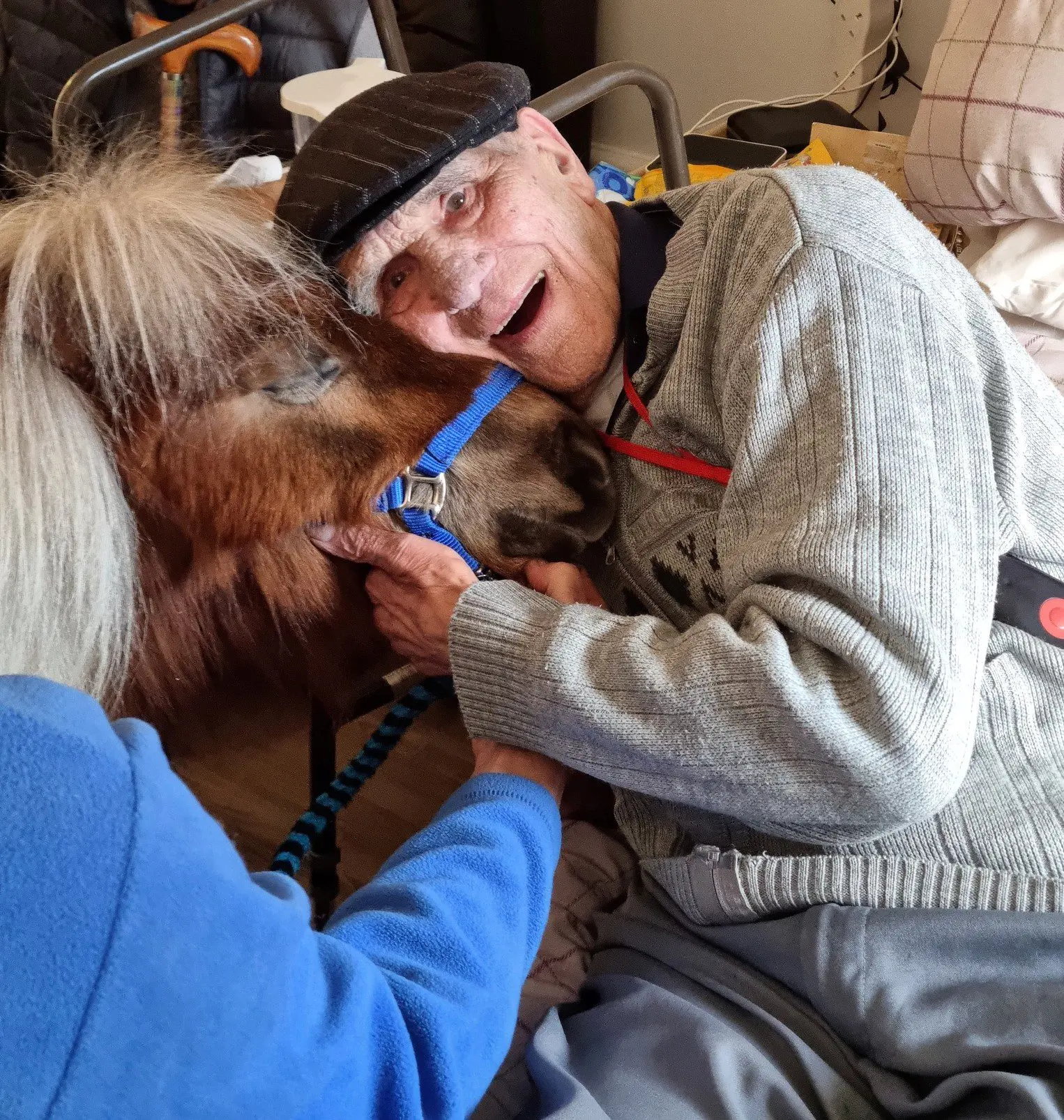 George and pony